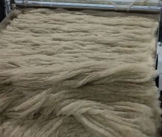 WhatsApp Image 2025-08-08 at 11.39.11 PM-1