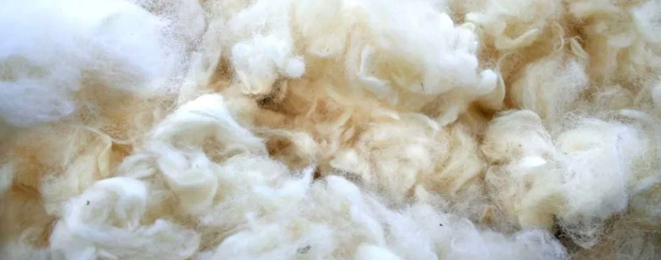 cottonized-hemp-fiber-3-1000x1000-1